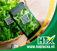 image advertisement
